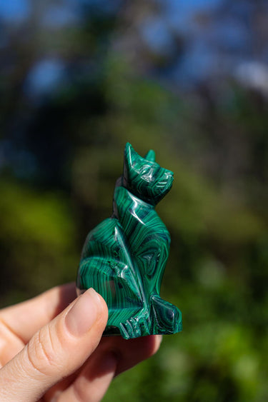 Malachite Cat